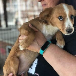 ALEYA - reserviert TH Koblenz vermittelt