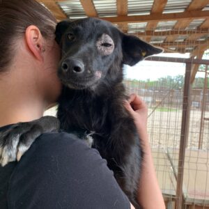 OLANA - Hautprobleme - reserviert TH Tuttlingen vermittelt