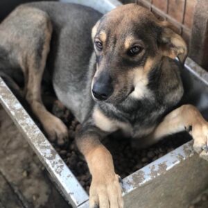 TOMIO - reserviert Manuela vermittelt