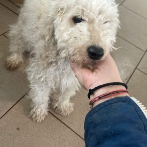 BEHRENSY - vor Ort vermittelt