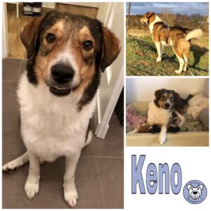 Keno in 10317 Berlin *vermittelt*