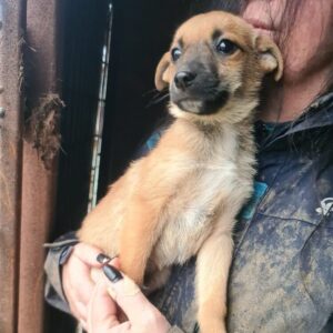 JIMI- vermisst 03/23