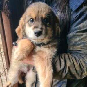 ANTONIUS - vor Ort vermittelt 02/23