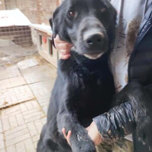 TITOU - reserviert Manuela - vermittelt