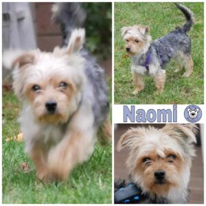 Naomi in 21493 Möhnsen *vermittelt*