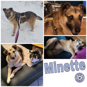 Minette in 58256 Ennepetal *vermittelt*