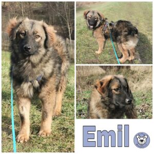 Emil in 99427 Weimar *vermittelt*