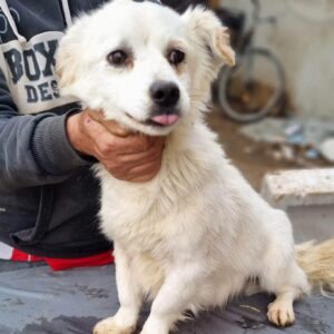 MIRO - reserviert TH Ahrweiler - vermittelt