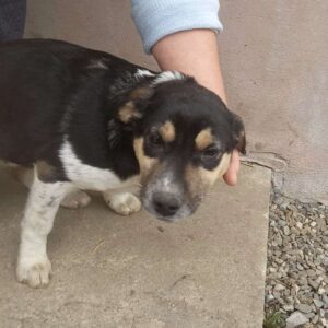 FEMI - vor Ort vermittelt 06/23