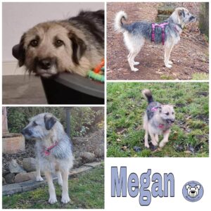 Megan in 27374 Visselhövede *vermittelt*