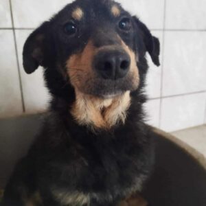 JAVA - reserviert TH Koblenz - vermittelt