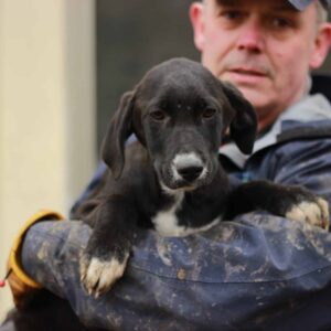 SANNA - ausgereist zum Kinder- und Tierschutzhof Hahnenberg