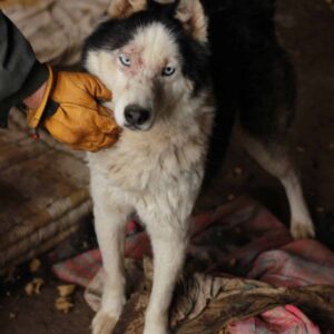 SQUARDO - vor Ort vermittelt 05/23