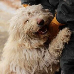 SKIP - auf PDR PS im PLZ Bezirk 31 *ausgereist*