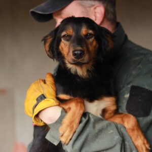 JULIETTA - sollte zeitnah reisen - reserviert TH Filderstadt - vermittelt