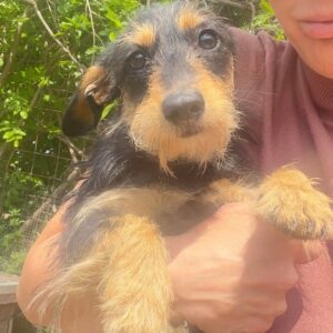 UXI - ausgereist zum TH Filderstadt