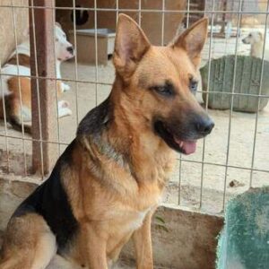 REKA - ausgereist zum TH Filderstadt