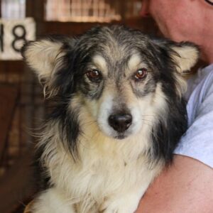 TJERO - vermittelt JW