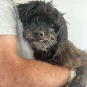 JAMY - vermittelt MD