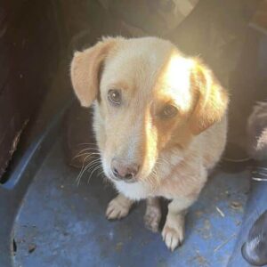 FÜNNI - auf PDR PS im PLZ Bezirk 64 - vermittelt