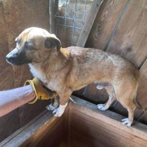 TAKA - ausgereist zum TH Wannigsmühle