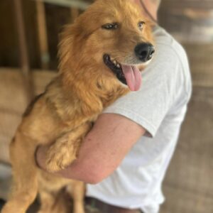 PINA - ausgereist zum TH Wannigsmühle