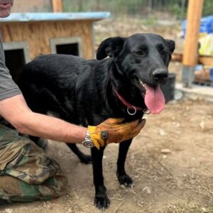 KATRINA - vor Ort vermittelt 03/24