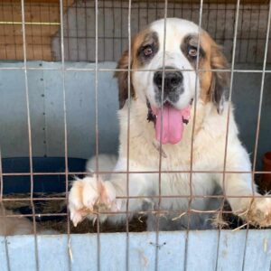 THELMA - ausgereist zum KTH