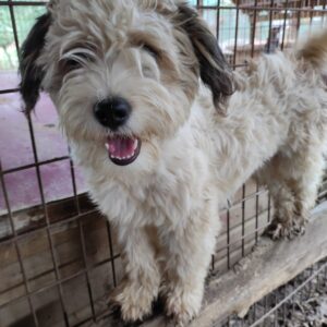 JAMELIA - reserviert KM vermittelt