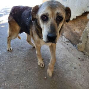 GLORIANA - RBB 18.06.2023