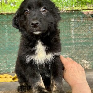 TOFI - auf PDR PS im PLZ Bezirk 7 - vermittelt