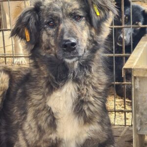 INRI - vermittelt Manuela