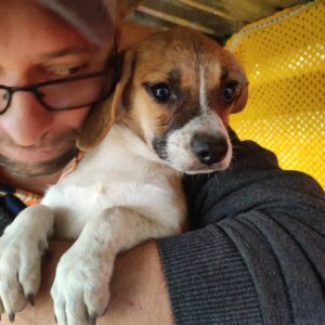 MIRINDA - reserviert 4animals (CD, 27/09) vermittelt