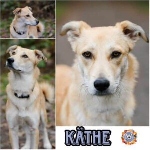 Käthe in 27299 Etelsen - vermittelt