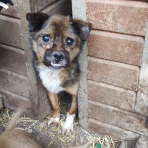 EVIN - reserviert TH Gelnhausen vermittelt