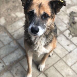 OTTO - reserviert TH Wannigsmühle vermittelt