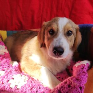 LENNJA - reserviert JW vermittelt