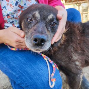 ELLIOT - RBB 04.12.2022