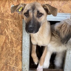 THEKLA - auf PDR PS im PLZ Bezirk 18 - vermittelt