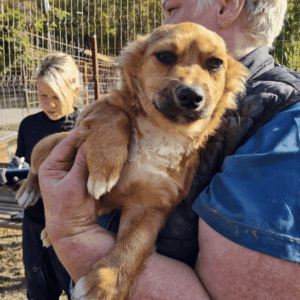 ACANI - reserviert TH Tuttlingen - vermittelt