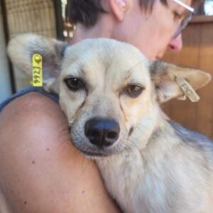 MURI - ausgereist zu 4animals