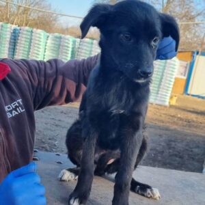 HEIDI- reserviert Alexandra - vermisst 02/23