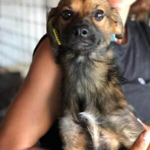 ITI - auf PDR PS im PLZ Bezirk 18