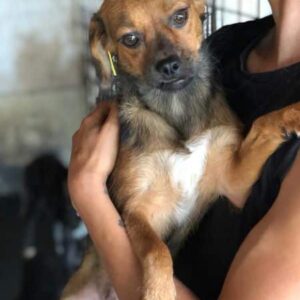 NUI - auf PDR PS im PLZ Bezirk 18 - vermittelt