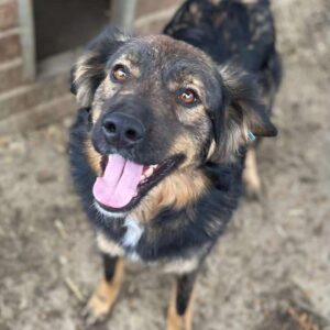 GRAZIOSA - vermisst 11/24