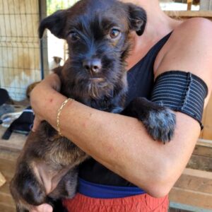 MARIECHEN - ausgereist zum TH Lingen