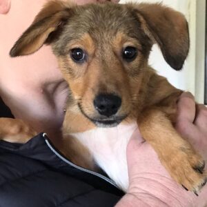 FINNI - reserviert Kathleen Müller vermittelt