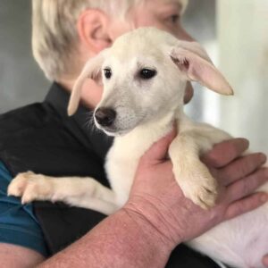 GRETCHEN - reserviert JW vermittelt