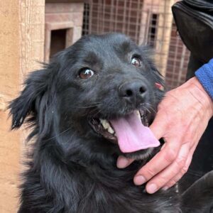 EYWA - ausgereist zum TH Ahrweiler