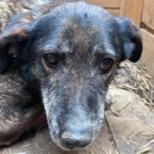 MAGDA - auf PS im PLZ Bereich 70